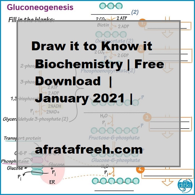 Draw it to know it biochemistry free download january 2021
